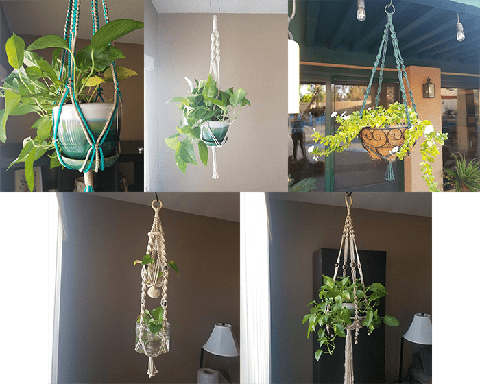 Plant Hangers